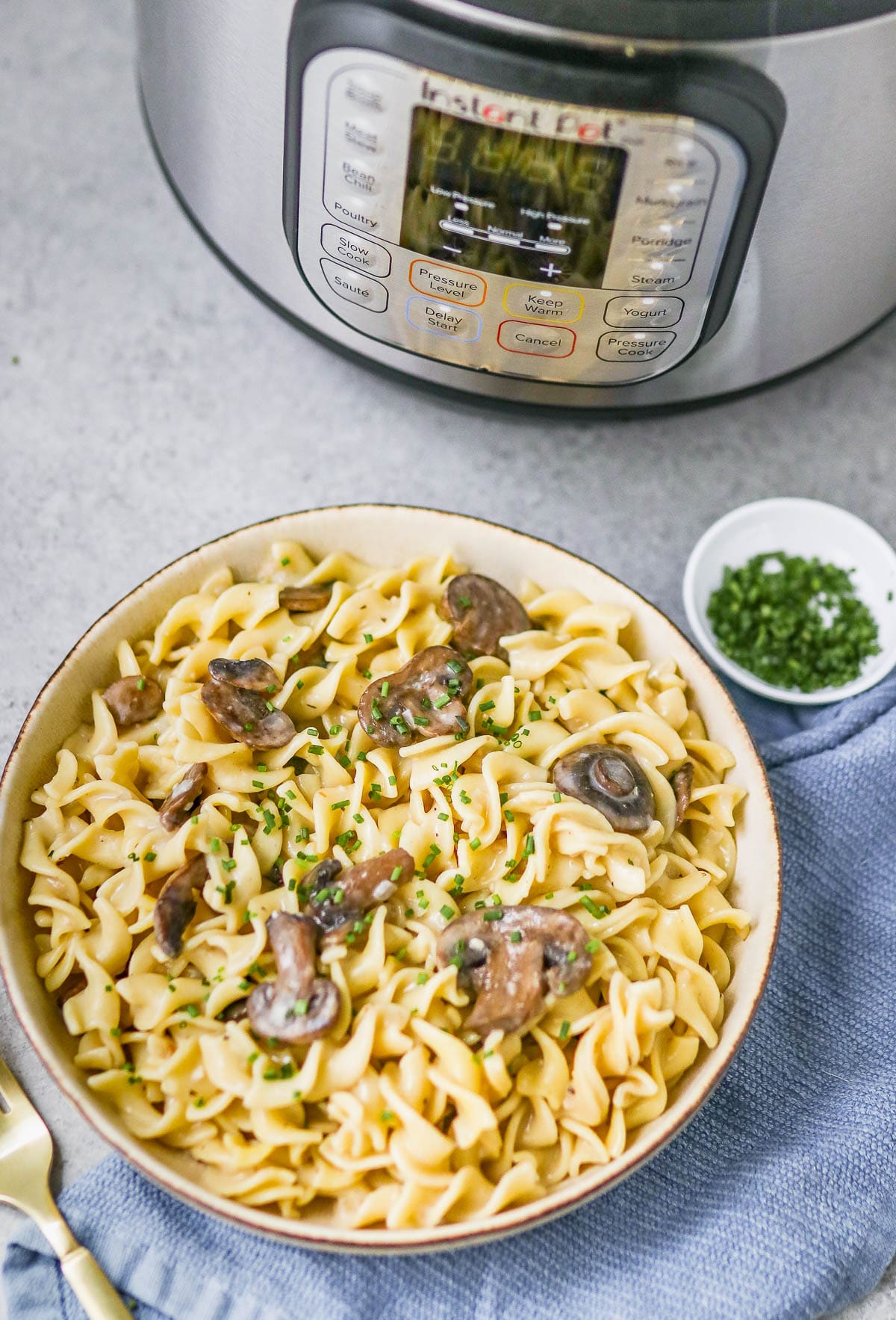photo of finished stroganoff by the instant pot